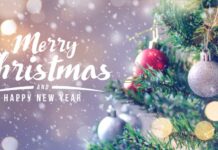 Kakiló fatörzs Szentestén? – avagy furcsa karácsonyi szokások, amikről még sosem hallottál